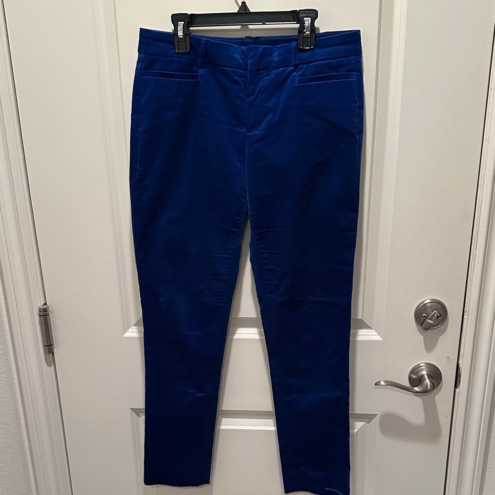 Banana Republic Blue Skinny Pants